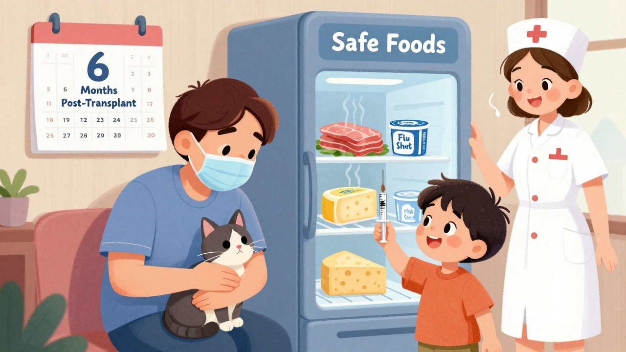 A patient petting their cat safely at home with vaccines and safe food visible.